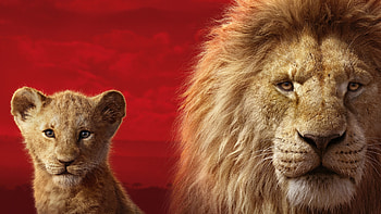 Lion King 2019, Simba, Mufasa HD wallpaper