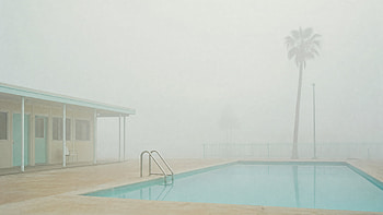 Misty Poolside Retreat —, Palm Tree, Fog, Bungalow HD wallpaper