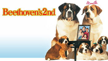 Beethoven's 2nd, Radio times, 1993, Movie HD wallpaper