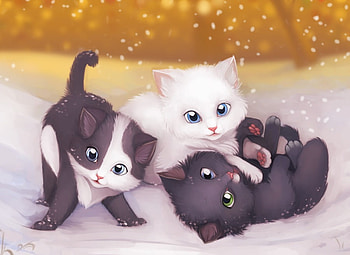 Kittens at Christmas, kitten, kitty, animals, christmas, cats, cute, funny, nice HD wallpaper