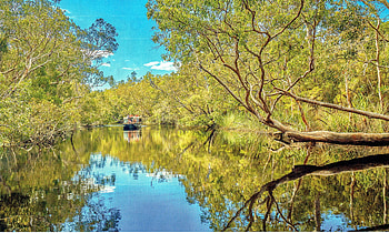 Noosa-Everglades-Upper-Noosa-River-Queensland-Australia, Water, Sky, River, Trees HD wallpaper