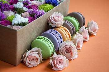 Macarons and roses, sweet, rose, colorful, dessert, macaron, cookie, trandafir, food HD wallpaper