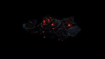 embers of love, gothic, nature, roses, dark HD wallpaper