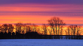 Canada, Manitoba, winter, snow, trees, landscape, colors, clouds, sky HD wallpaper
