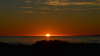 Beautiful Sunset View Reflection On Ocean Grass Bushes In Silhouette Background Nature HD wallpaper