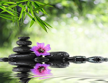 Green spa background, Bomboo leaves, Water, Stones, Spas HD wallpaper
