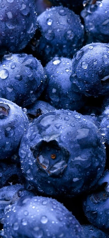 Blueberry bliss, Fresh and plump, Healthy snack, Burst of antioxidants HD phone wallpaper