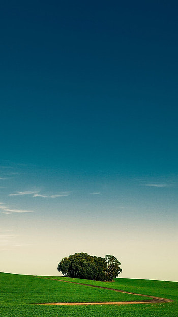 Home Screen, Green Garden HD phone wallpaper