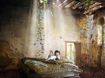 Sweet sleep, birds, bed, light, baby, flowers, angel HD wallpaper