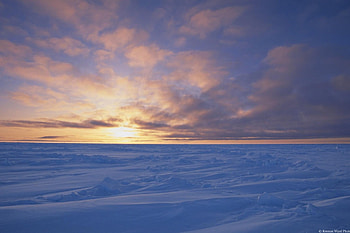 sunset beauty, sea, above, sky HD wallpaper