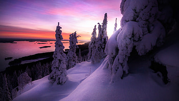 Koli National Park, Finland HD wallpaper