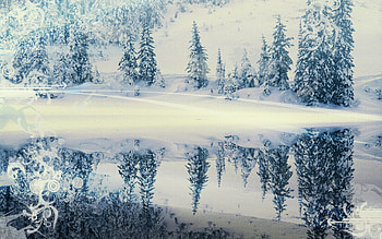 Tree, Winter, Artistic, Vector, Forest HD wallpaper