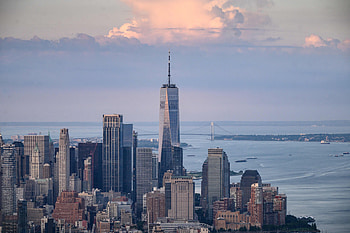 Hundreds of birds crash, New York skyscrapers, Most die, Daily Sabah HD wallpaper