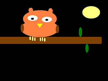 It's A Hoot!, night, branch, moon, owl HD wallpaper
