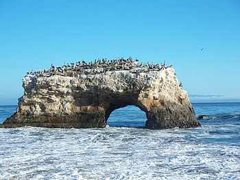 Natural Bridge, sea, blue sky, pelicans, arch, water, rock HD wallpaper