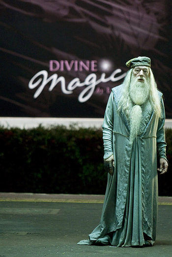 Dumbledore, Michael Gambon, Harry Potter HD phone wallpaper
