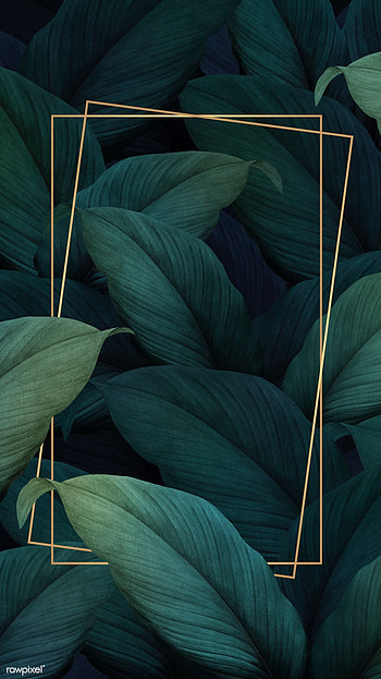Green Tropical Leaves Background (Page 1), Aesthetic Leaf HD phone wallpaper