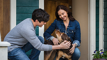 Terri and Lucas, A Dog's Way Home HD wallpaper