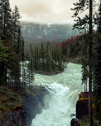 Nature, Rivers, Trees, Forest, Flow, Spruce, Fir, Stream, Island HD phone wallpaper