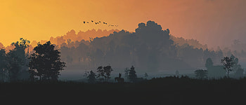 The Witcher 3 Minimal Nature , the-witcher-3, games, ps4-games, xbox-games, pc-games, sword, 2022-games, minimalism, minimalist HD wallpaper