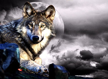 Awesome wolf, night, moon, clouds, wolf, beautiful wild fantasy HD wallpaper