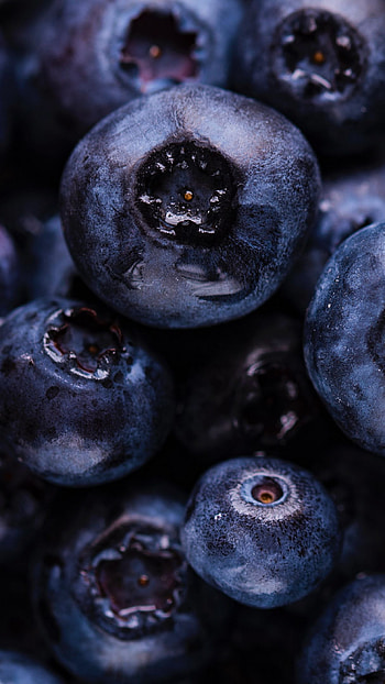 Black Berries, berries, black, fruit, food HD phone wallpaper