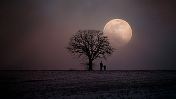 Father And Child, father, love, child, graphy, trees, moon HD wallpaper