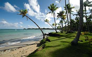 Jamaican beaches, Beach , beach , Jamaica beaches HD wallpaper