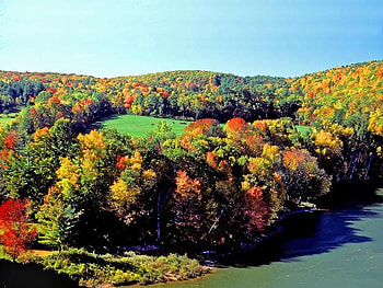 Autumn Day, trees, autumn, colors, sky HD wallpaper