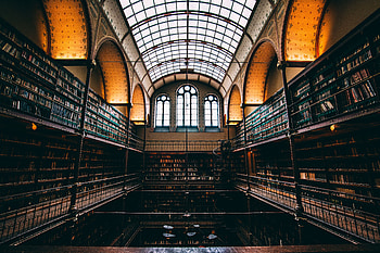 Building, Miscellanea, Miscellaneous, Window, Library HD wallpaper