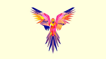 Parrots, Vector, Bright, , Drawing, Color HD wallpaper