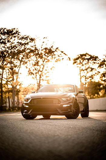 Sports, Cars, Car, Asphalt, Front View, Machine, Sports Car, Sunlight, Coupe, Compartment HD phone wallpaper