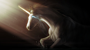 Fantasy unicorn artwork, , Mythical creatures, Captivating beauty HD wallpaper