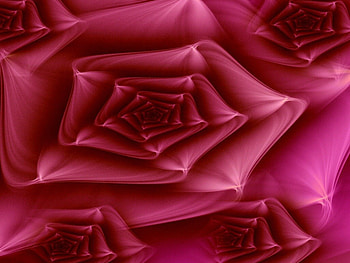 Heavenly beautiful rose, rose, stunning, beauty, heaven HD wallpaper