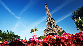 Paris, France, Eiffel Tower HD wallpaper
