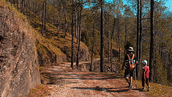A father and son hiking on a scenic forest trail in daylight, surrounded by tall trees. HD wallpaper