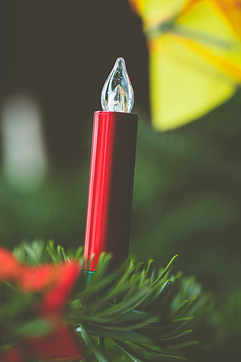 Holidays, Needle, Holiday, Branch, Candle HD phone wallpaper