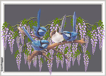 LITTLE WRENS, ART, CREATION, ABSTRACT HD wallpaper