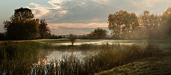 Grassland, golf, nature, tree, nature HD wallpaper