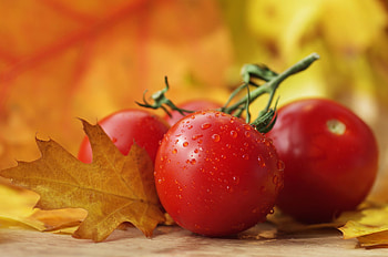Food, Vegetables, Drops, Tomatoes HD wallpaper