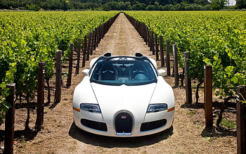Napa Valley , Posted by Ryan Thompson, Stunning backgrounds, Access HD wallpaper