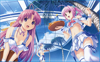 Matsuri Aoi, Hanabi Hinata & Rikka Himuro, matsuri, beautiful girls, indigo, hinata hanabi, cute girls, short hair, himuro rikka, loli, hot girls, white, hanabi, sexy dress, ecchi, aoi matsuri, rikka himuro, singer, hinata, sexy girls, hanabi hinata, purple, anime, green, seductive girl, violet, lingerie, kiss, bra, shy girl, blue, black, waitress, tropical, aoi, vocaloid, long hair, tropical kiss, music, brown, chibi, swimwear, pretty girls, nightwear, breasts, rikka, bikini, anime girls, orange, yuri, matsuri aoi, moe, gray, red, yellow, himuro, girls, tagme, blush, panty HD wallpaper