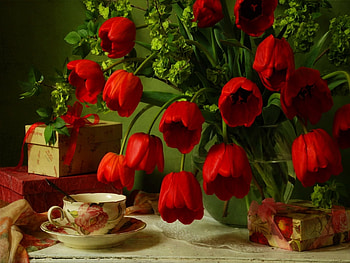Plants, Flowers, Tulips HD wallpaper