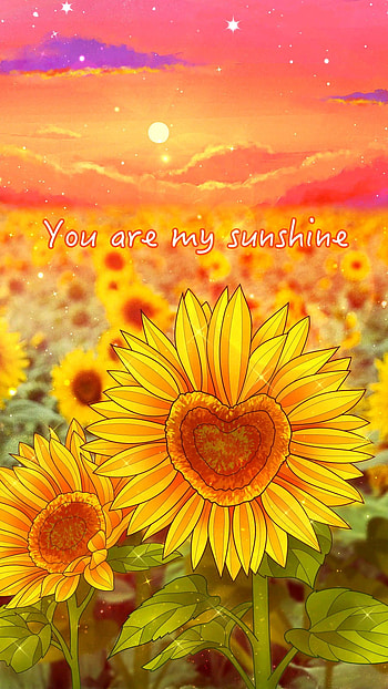 You are my sunshine, natural_landscape, petal HD phone wallpaper
