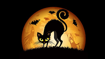 http://4.bp.blogspot.com/-z4hAKLFDccw/UG6EoemfQNI HD wallpaper