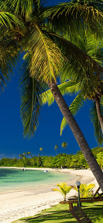 Dominican Republic, Travels, Paradise coast, 12 pro HD phone wallpaper