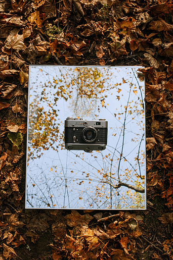 Autumn, Leaves, Miscellanea, Miscellaneous, Vintage, Retro, Camera HD phone wallpaper