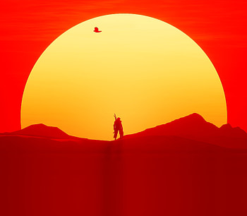 Sun, warrior, sunset, silhouette, Assassin's creed HD wallpaper