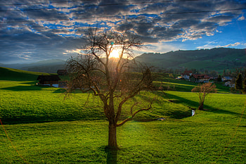 Landscape, Nature, Sunset, Field, Creek, Brook HD wallpaper