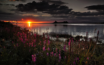Landscape, Nature, Sunset HD wallpaper